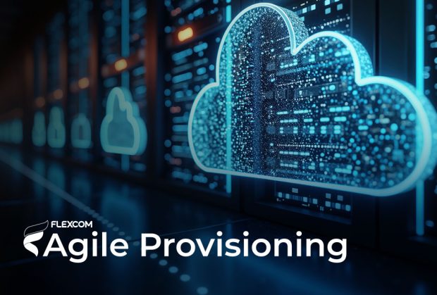 Agile Provisioning for cloud services
